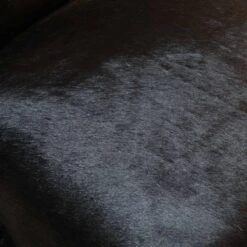 After Midnight Accent Chair In Black Hide 15 After Midnight Accent Chair In Black Hide -Furniture & Decoration Shop AfterMidnightChair.07