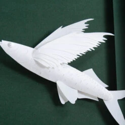 Brant Point Flying Fish -Furniture & Decoration Shop BrantPoint.02