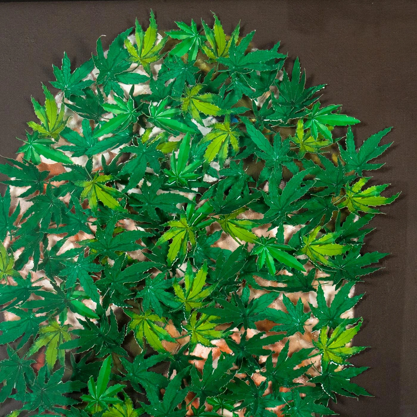 Eilene 4 Eilene - Image 2