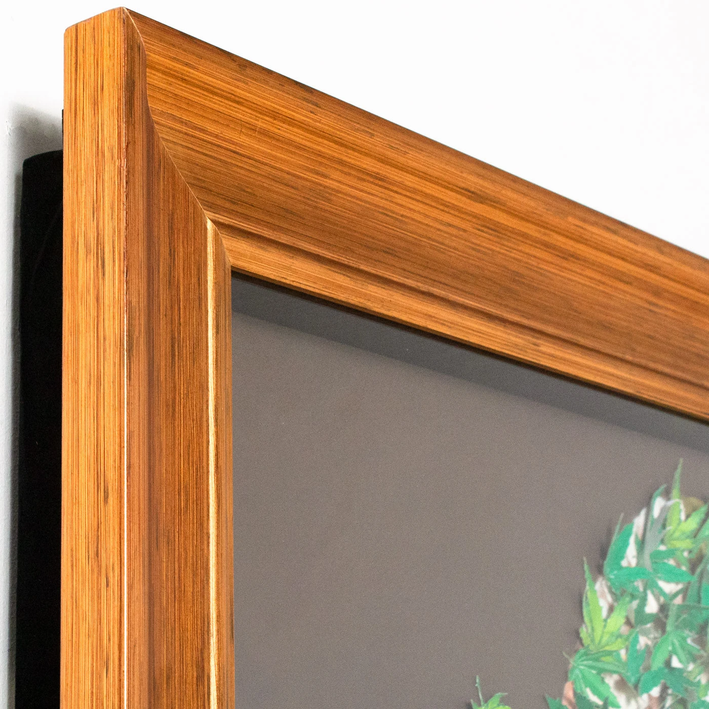 Eilene 7 Eilene - Image 5