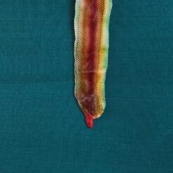 Ezra Sisal Grasscloth Wallpaper 7 Ezra Sisal Grasscloth Wallpaper -Furniture & Decoration Shop EzraGrassclothWallpaper.03 1de275cd b464 4da2 aa00 25e2ec285cd9