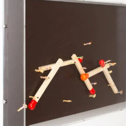 Flash Burn 8 Flash Burn -Furniture & Decoration Shop FlashBurn.04