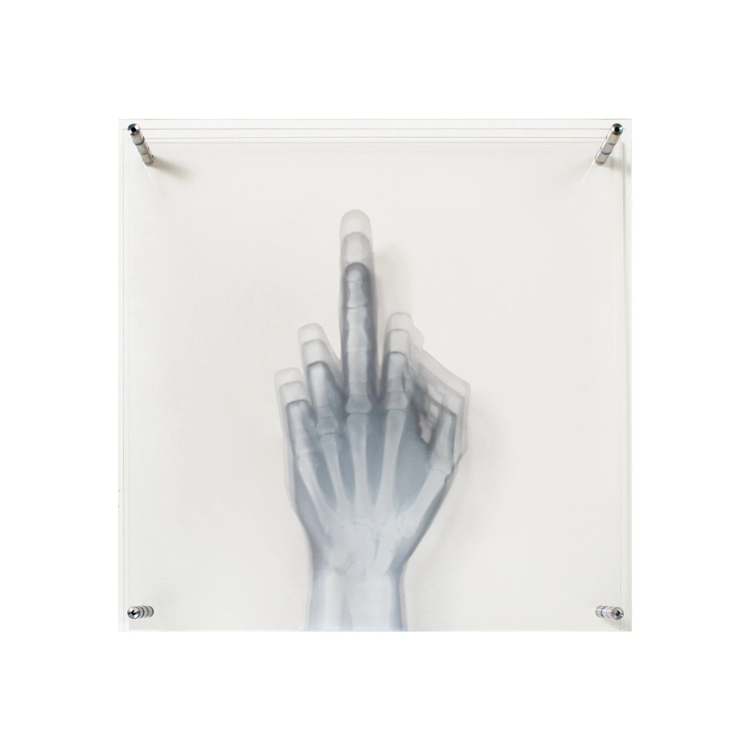 Flip Off To The Bone 3 Flip Off To The Bone