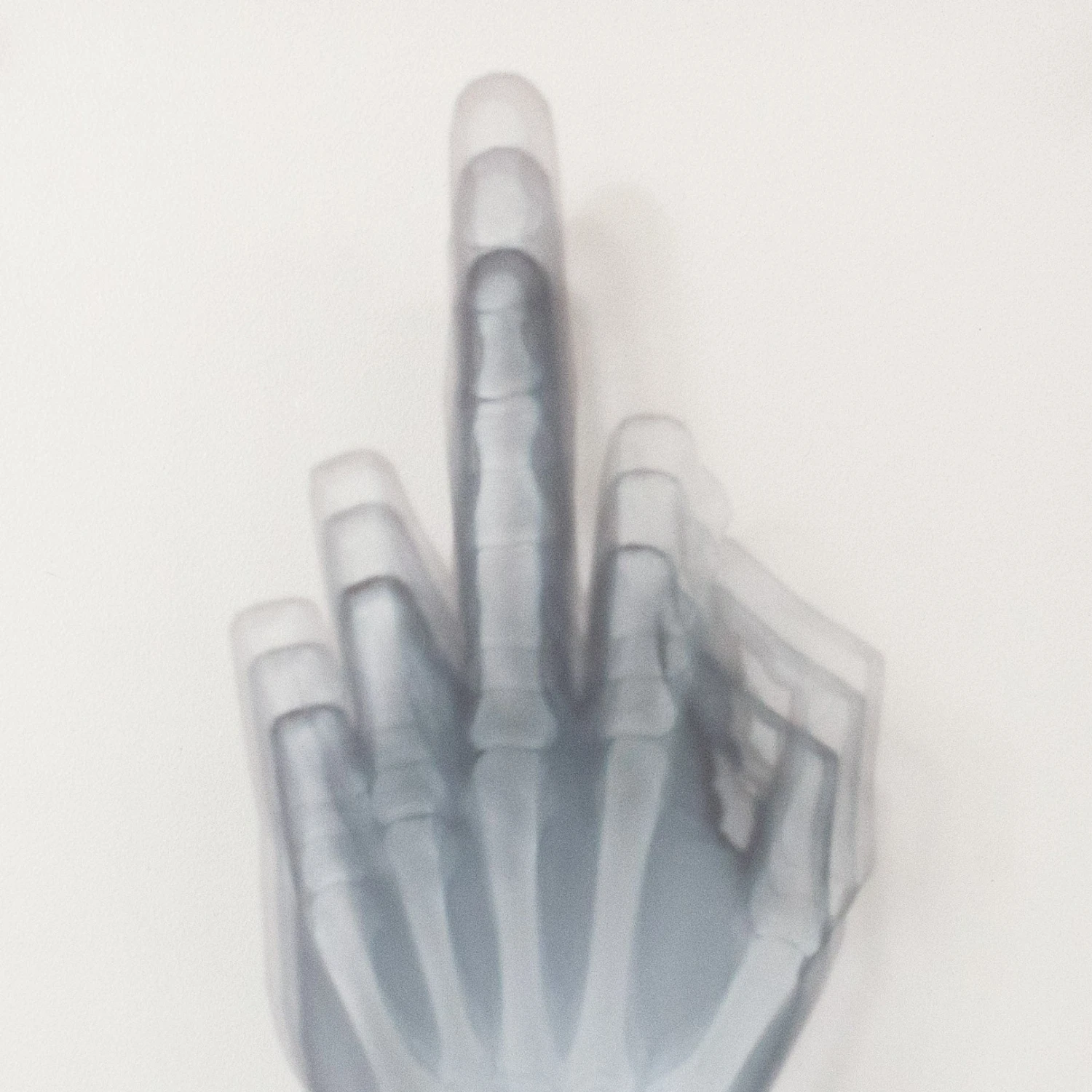 Flip Off To The Bone 4 Flip Off To The Bone - Image 2