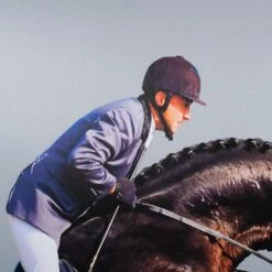 Framed Leaping Equestrian Artwork On Silk Cloth Right - Grey -Furniture & Decoration Shop FramedLeapingEquestrianArtworkonSilkClothRight Grey.02