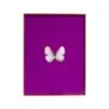Framed Butterfly Print In Magenta 2 Framed Butterfly Print In Magenta -Furniture & Decoration Shop Framed 20Butterfly 20Print 20In 20Magenta.01
