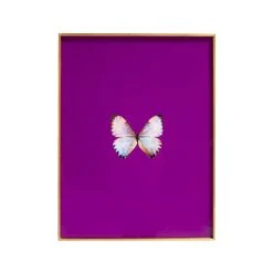 Framed Butterfly Print In Magenta