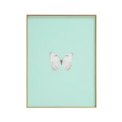 Framed Butterfly Print In Seafoam