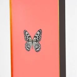 Framed Butterfly Print In Persimmon -Furniture & Decoration Shop Framed 20Butterfly 20Print 20in 20Persimmon.03