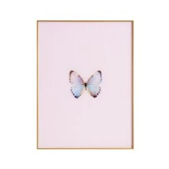 Framed Butterfly Print In Pink Marshmallow