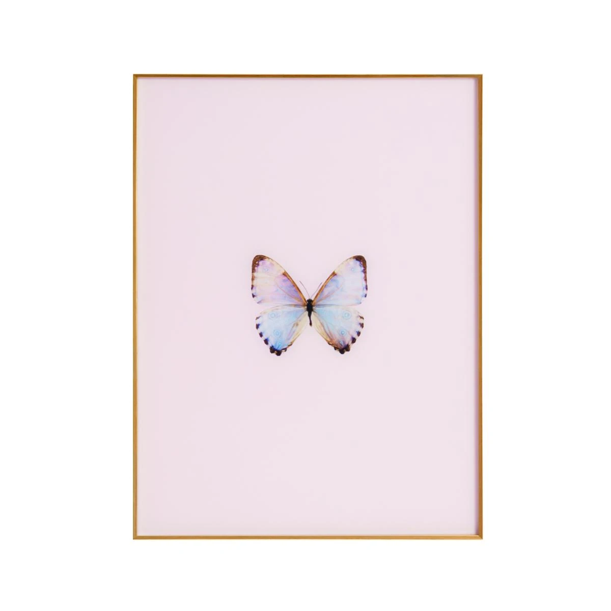 Framed Butterfly Print In Pink Marshmallow 3 Framed Butterfly Print In Pink Marshmallow