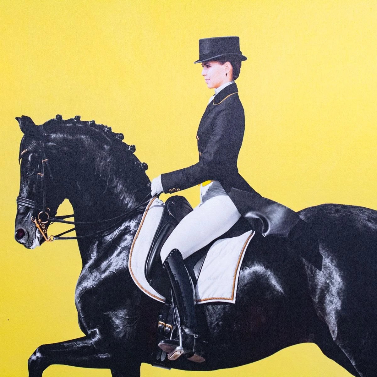 Framed Equestrian Artwork On Silk Cloth - Yellow Left Facing 5 Framed Equestrian Artwork On Silk Cloth - Yellow Left Facing - Image 3