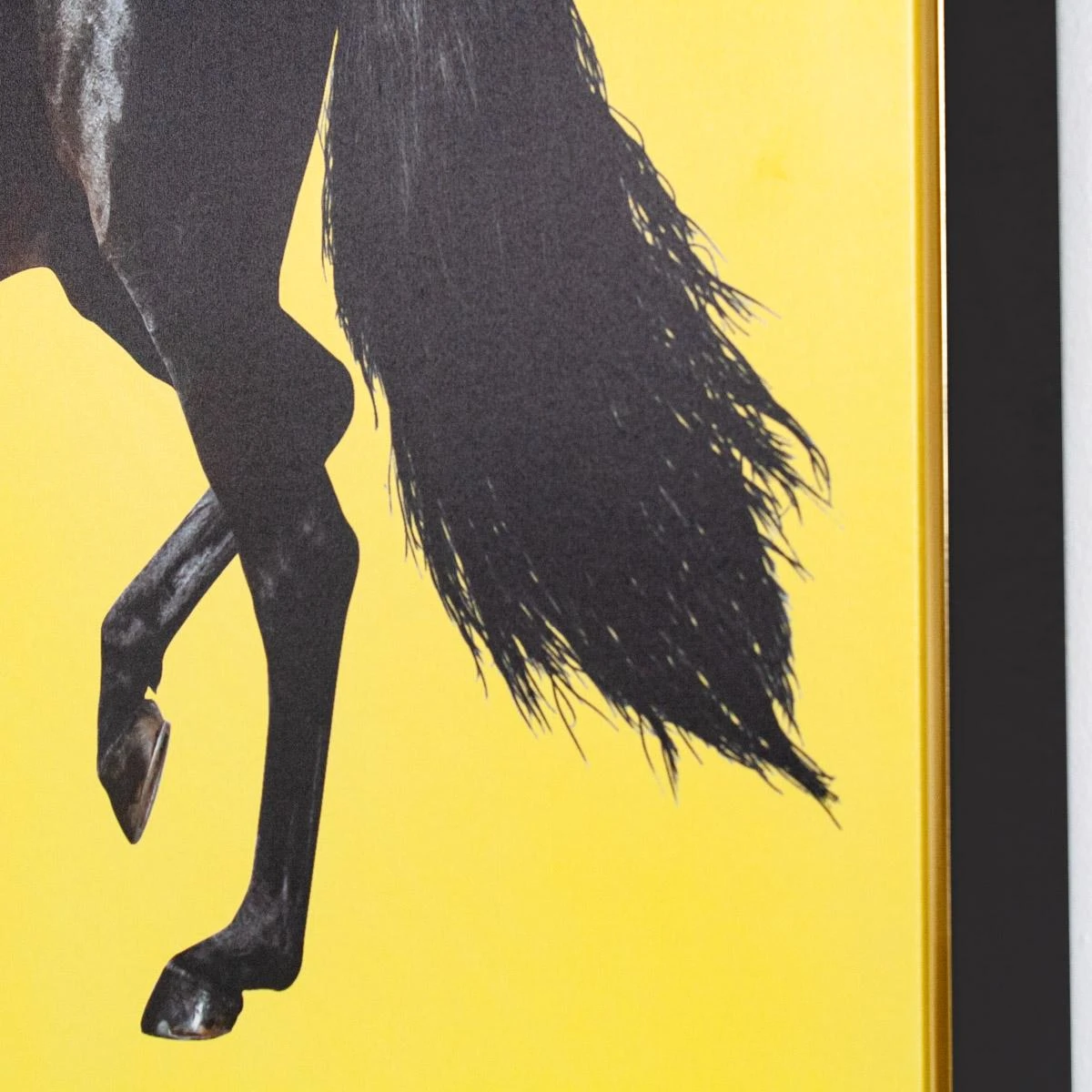 Framed Equestrian Artwork On Silk Cloth - Yellow Left Facing 6 Framed Equestrian Artwork On Silk Cloth - Yellow Left Facing - Image 4