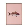 Framed Fish Print In Light Coral 2 Framed Fish Print In Light Coral -Furniture & Decoration Shop Framed 20Fish 20Print 20in 20Light 20Coral.01