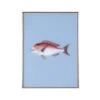 Framed Fish Print In Marine Blue 2 Framed Fish Print In Marine Blue -Furniture & Decoration Shop Framed 20Fish 20Print 20in 20Marine 20Blue.01
