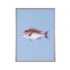 Framed Fish Print In Marine Blue