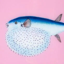 Framed Fish Print In Mermaid Pink -Furniture & Decoration Shop Framed 20Fish 20Print 20in 20Mermaid 20Pink.04