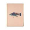 Framed Fish Print In Sand -Furniture & Decoration Shop Framed 20Fish 20Print 20in 20Sand.01