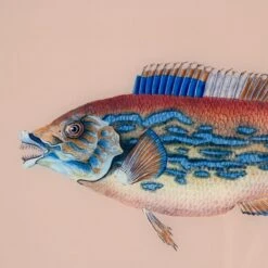 Framed Fish Print In Sand -Furniture & Decoration Shop Framed 20Fish 20Print 20in 20Sand.03