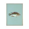 Framed Fish Print In Seagrass 1 Framed Fish Print In Seagrass -Furniture & Decoration Shop Framed 20Fish 20Print 20in 20Seagrass.01
