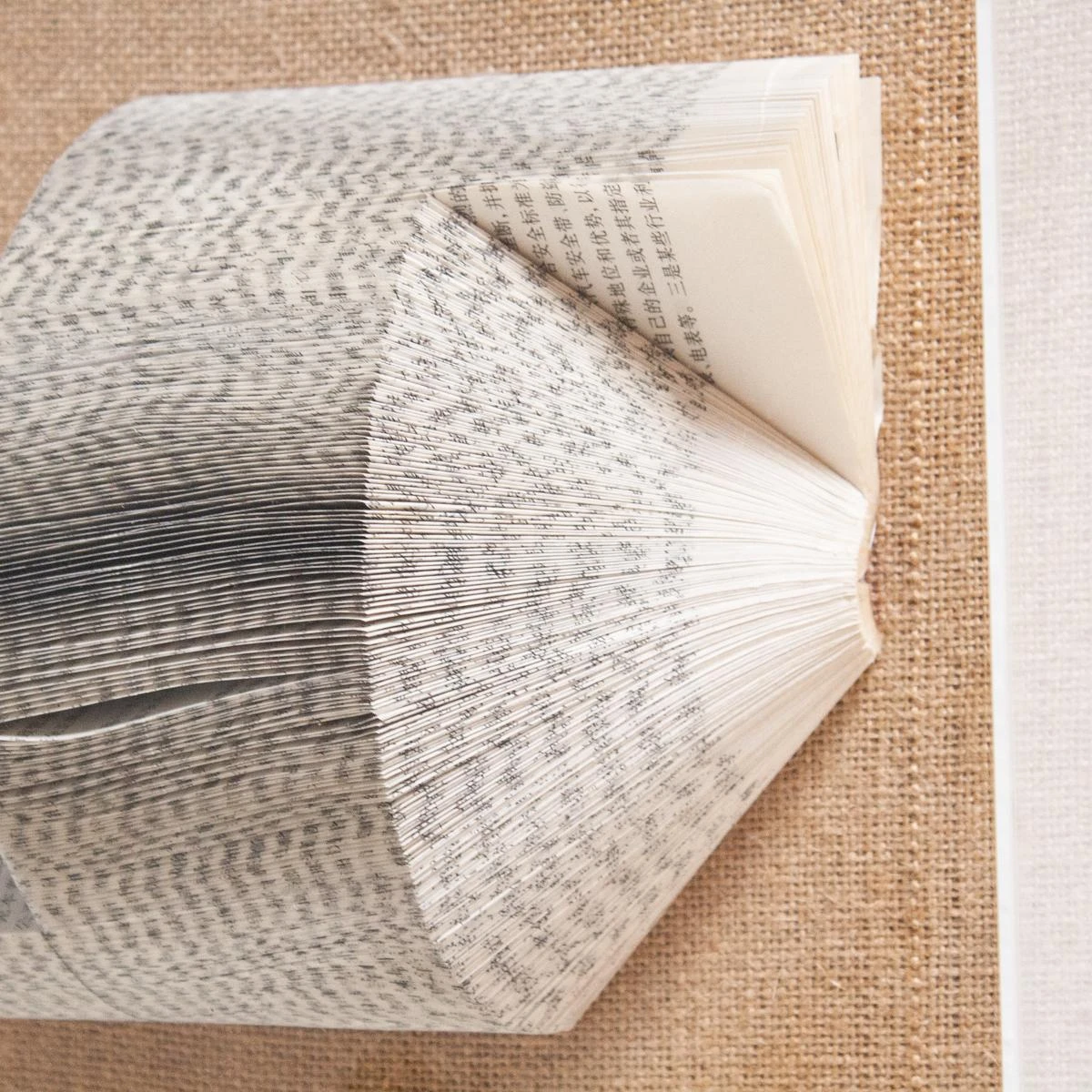 The Library Is Open D 4 The Library Is Open D - Image 2