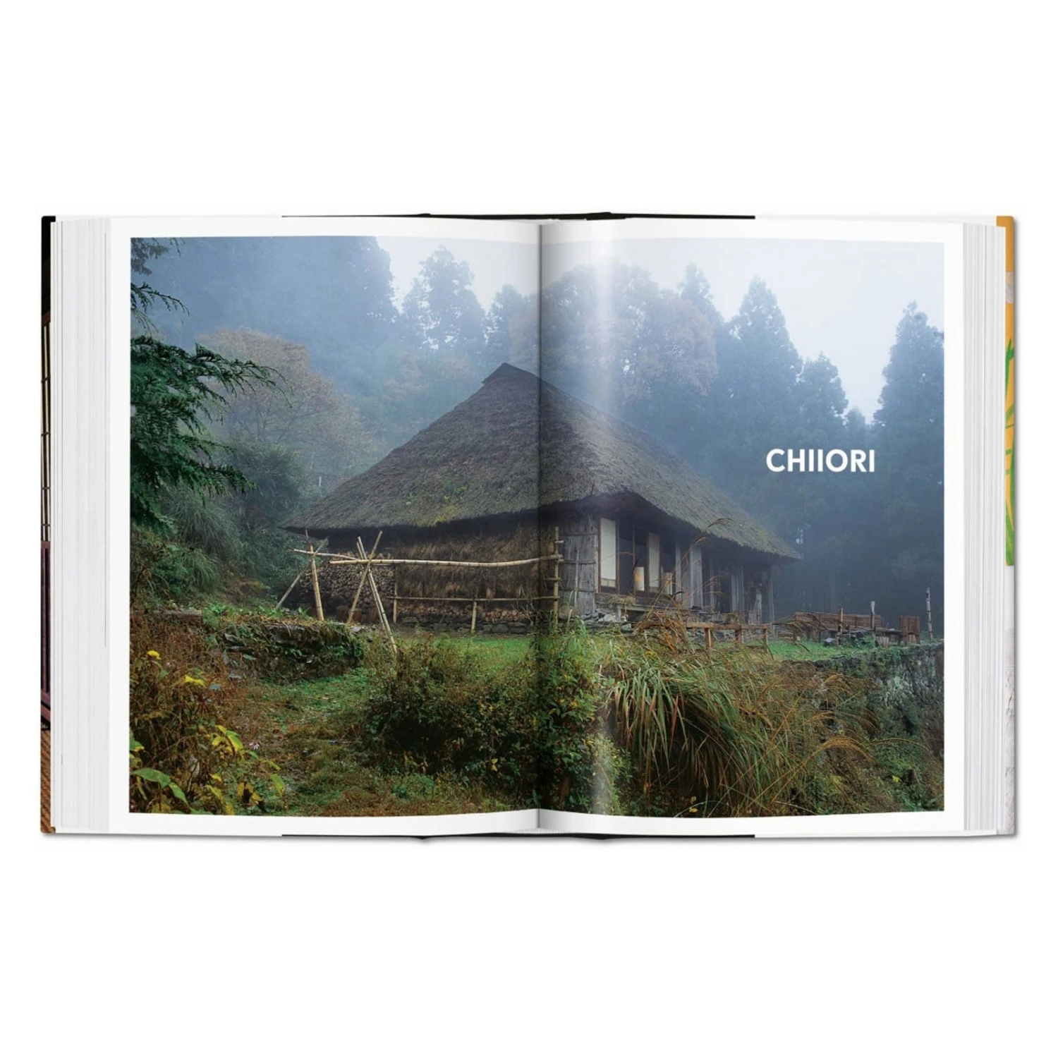 Living In Japan (40th Anniversary Edition) 5 Living In Japan (40th Anniversary Edition) - Image 3