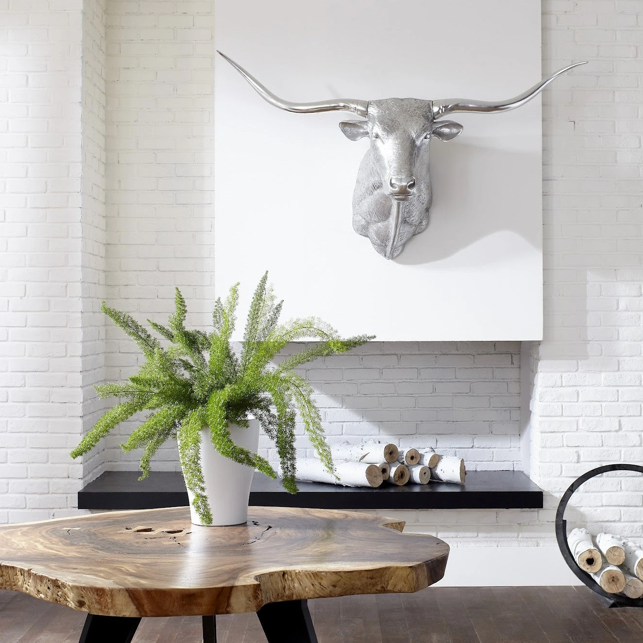 Bullie The Silver Longhorn 4 Bullie The Silver Longhorn - Image 2