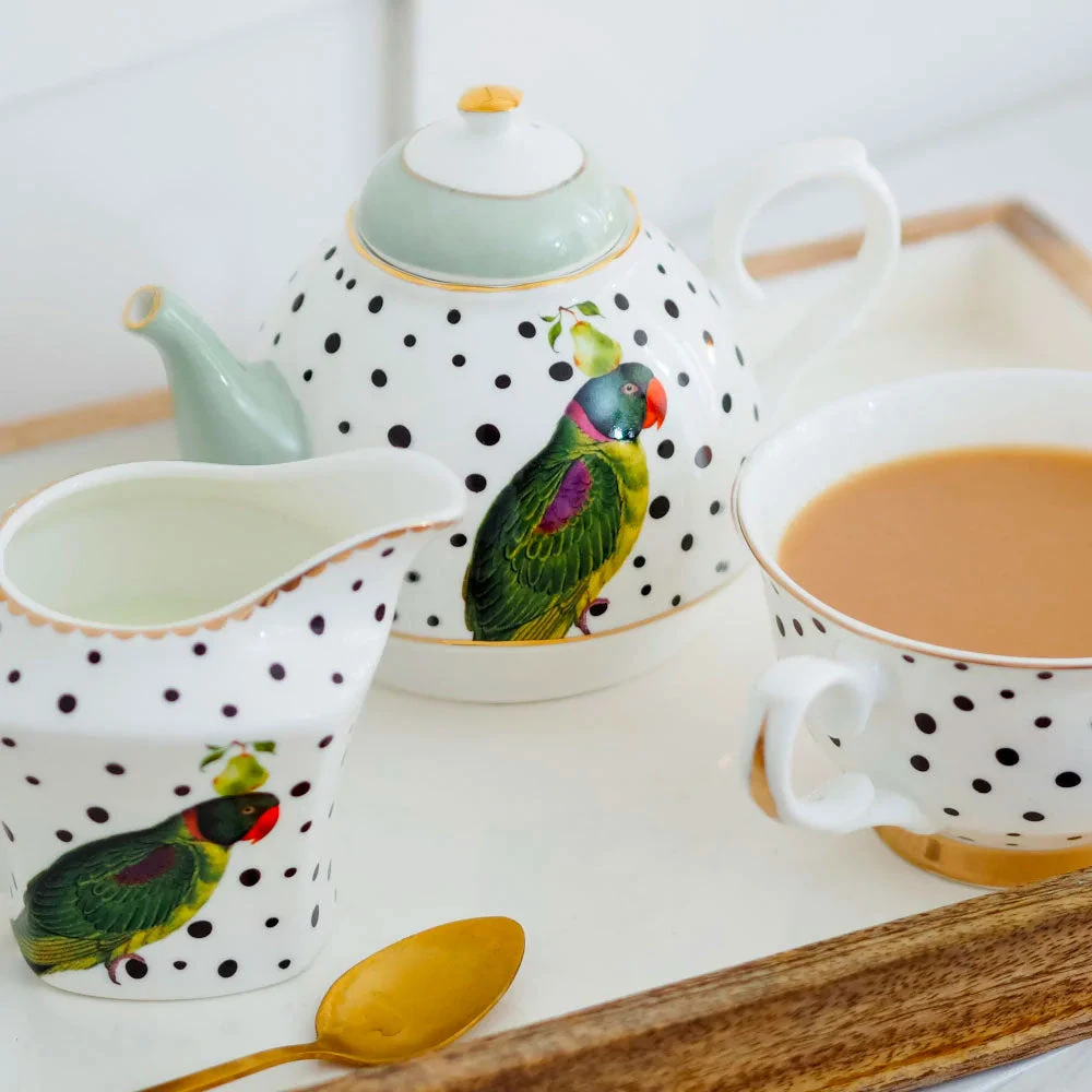 Parrot Polka Dot Jug 4 Parrot Polka Dot Jug - Image 2