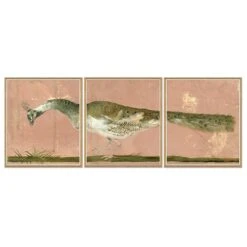 Peacock Triptych Art