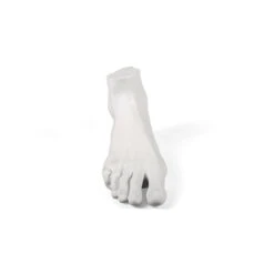 Porcelain Male Foot By Seletti -Furniture & Decoration Shop Porcelain 20Male 20Foot 20By 20Seletti.02