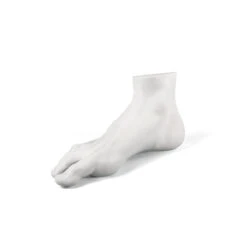Porcelain Male Foot By Seletti -Furniture & Decoration Shop Porcelain 20Male 20Foot 20By 20Seletti.03
