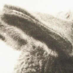 Waldo Printed On Linen -Furniture & Decoration Shop RT 26 SP22WaldoPrintedonLinen.06