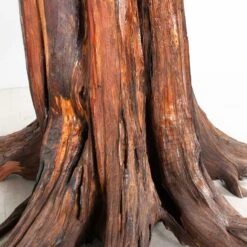 Live Edge Table 2 -Furniture & Decoration Shop RT 32 SP22LiveEdgeTable2.06