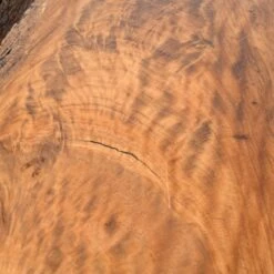 Live Edge Table 2 -Furniture & Decoration Shop RT 32 SP22LiveEdgeTable2.11