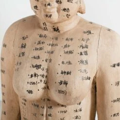 Acupuncture Figure – Woman -Furniture & Decoration Shop RT 45 SP22AcupunctureFigure Woman.05
