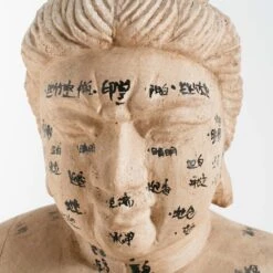 Acupuncture Figure – Woman -Furniture & Decoration Shop RT 45 SP22AcupunctureFigure Woman.06
