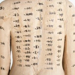 Acupuncture Figure – Woman -Furniture & Decoration Shop RT 45 SP22AcupunctureFigure Woman.08