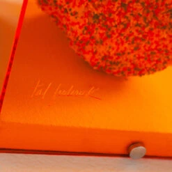 Sweet Tooth Petite - Citrus 7 Sweet Tooth Petite - Citrus -Furniture & Decoration Shop SweetToothPetite Orange.03