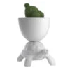 Turtle Carry Planter & Champagne Cooler - White 1 Turtle Carry Planter & Champagne Cooler - White -Furniture & Decoration Shop TurtleCarryPlanter ChampagneCooler White.01