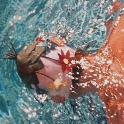 Vogue 'Women In Swimming Pool' By Fred Lyon -Furniture & Decoration Shop Vogue 20 Women 20In 20Swimming 20Pool 20by 20Fred 20Lyon.04